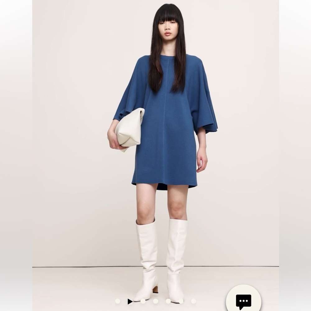 Banana Republic Merino Flutter Sleeve Mini Sweater Dress